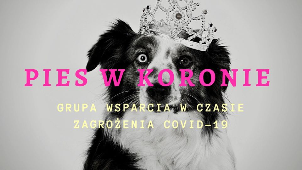 Pies w Koronie, grupa wsparcia na Facebooku